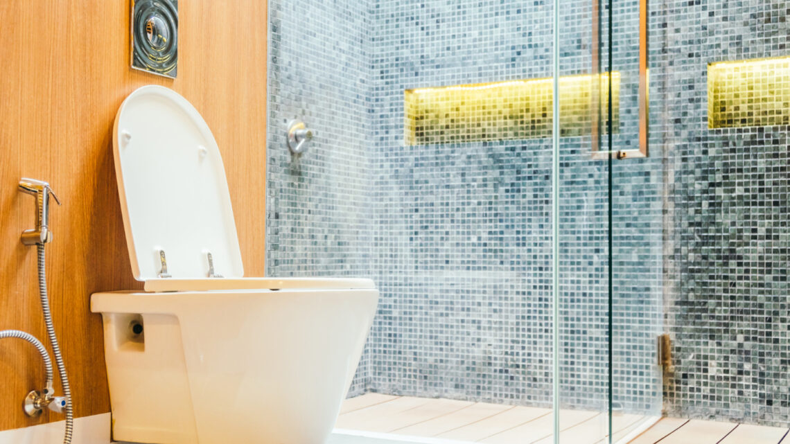 modern toilet